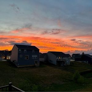 Meet your Posher, Julian